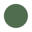 Enchanted Green Color
