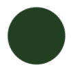 Forest Green Color