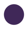 Eggplant Color