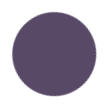 Purple Pansy Color