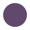 Dark Purple Color