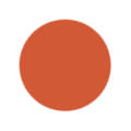 Burnt Orange Color