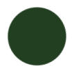 Forest Green Color