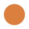 Terracotta Orange Color