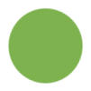 Dark Lime Green Color