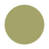Scuppernong Color