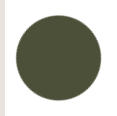 Tarzan Color