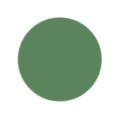 Sage Green Color