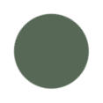 CAMO Green Color