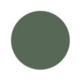 CAMO Green Color