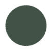 Jungle Green Color