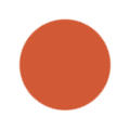 Burnt Orange Color