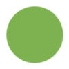 Dark Lime Green Color