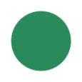 Mint Green Color