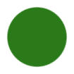 Shamrock Green Color