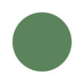 Sage Green Color