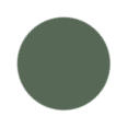 CAMO Green Color