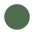 Enchanted Green Color