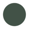 Jungle Green Color