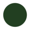 Forest Green Color