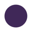 Eggplant Color