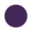 Eggplant Color