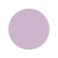 Pastel Purple Color