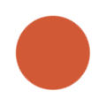 Burnt Orange Color