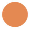 Light Orange Color