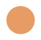 Cantaloupe Color