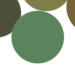 Sage Green Color