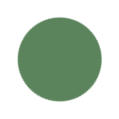 Sage Green Color