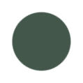 Dark Green Color
