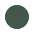 Dark Green Color