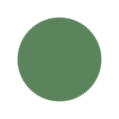 Sage Green Color