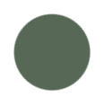 CAMO Green Color