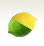 Lemon Lime Fondant Flavor