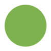 Dark Lime Green Color