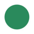 Mint Green Color