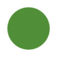 Light Green Color
