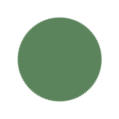 Sage Green Color