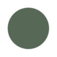 CAMO Green Color