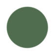 Enchanted Green Color