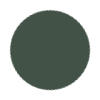 Jungle Green Color