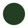 Forest Green Color
