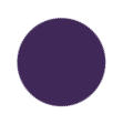 Eggplant Color
