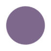 Purple Color