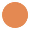 Light Orange Color
