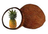 pineapple coconut flavor powder