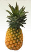 pineapple flavor powder